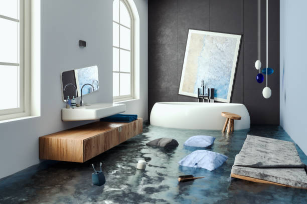 Best Flood damage cleanup  in Westwood, KS