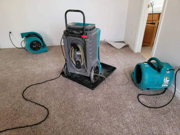 Best Commercial water damage restoration  in Westwood, KS