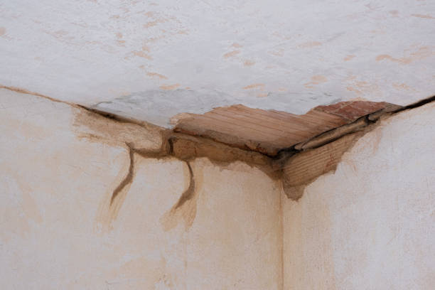 Best Water damage contractors near me  in Westwood, KS
