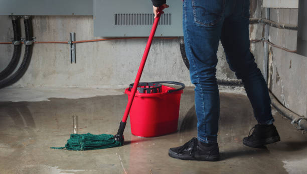 Best Carpet water damage restoration  in Westwood, KS
