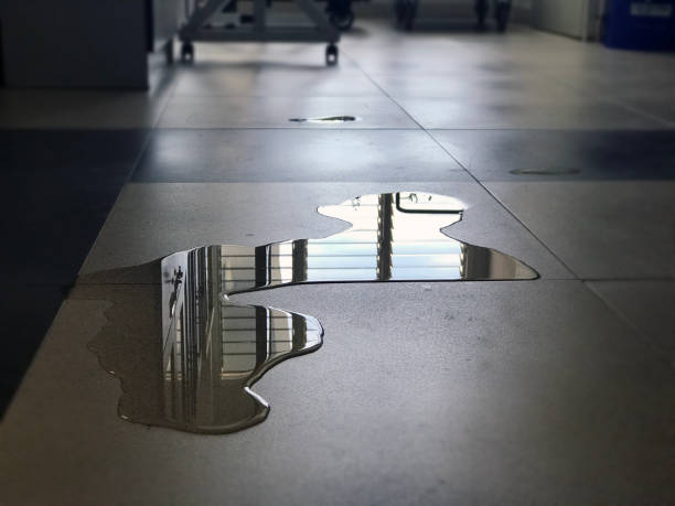 Best 24-hour water damage restoration  in Westwood, KS