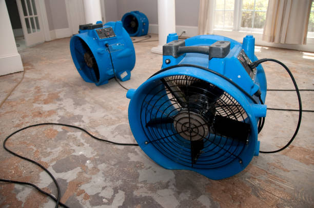 Best Water damage restoration insurance claims  in Westwood, KS