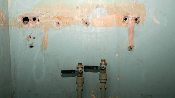 Best Water damage cleanup near me  in Westwood, KS
