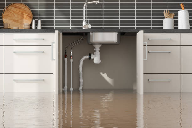 Best Ceiling water damage repair  in Westwood, KS