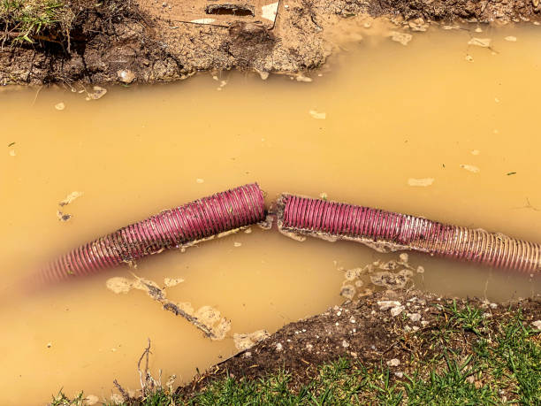 Best Residential water damage restoration  in Westwood, KS