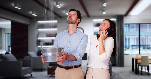 Best Mold removal after water damage  in Westwood, KS